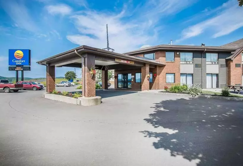 Отель Comfort Inn