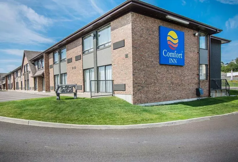 Отель Comfort Inn