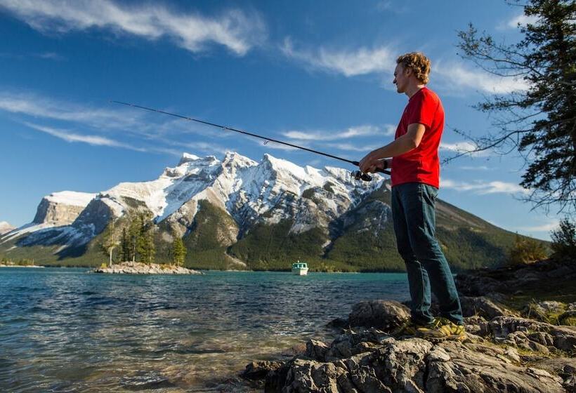 استراحتگاه Banff Park Lodge