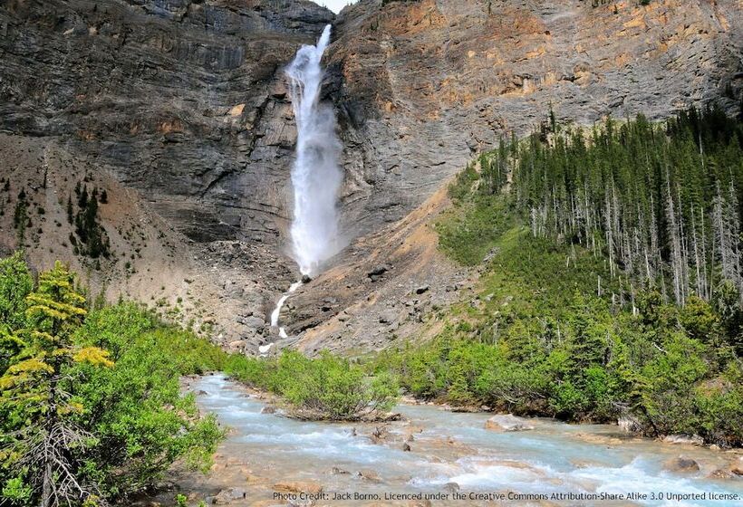 استراحتگاه Banff Park Lodge