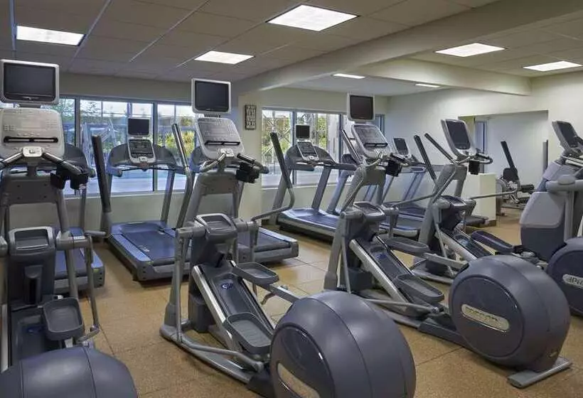 Hilton Toronto Airport Hotel & Suites