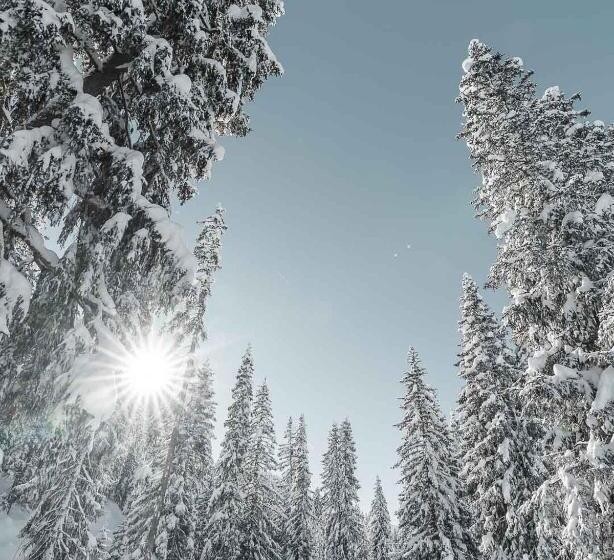 酒店 Alpensonne Panoramazimmer & Restaurant