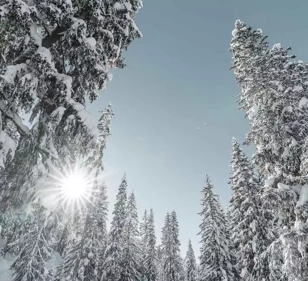 בית מלון כפרי Alpensonne Panoramazimmer & Restaurant