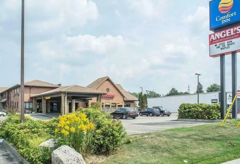 Отель Comfort Inn Waterloo