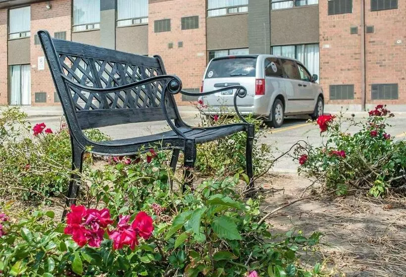 Отель Comfort Inn Waterloo