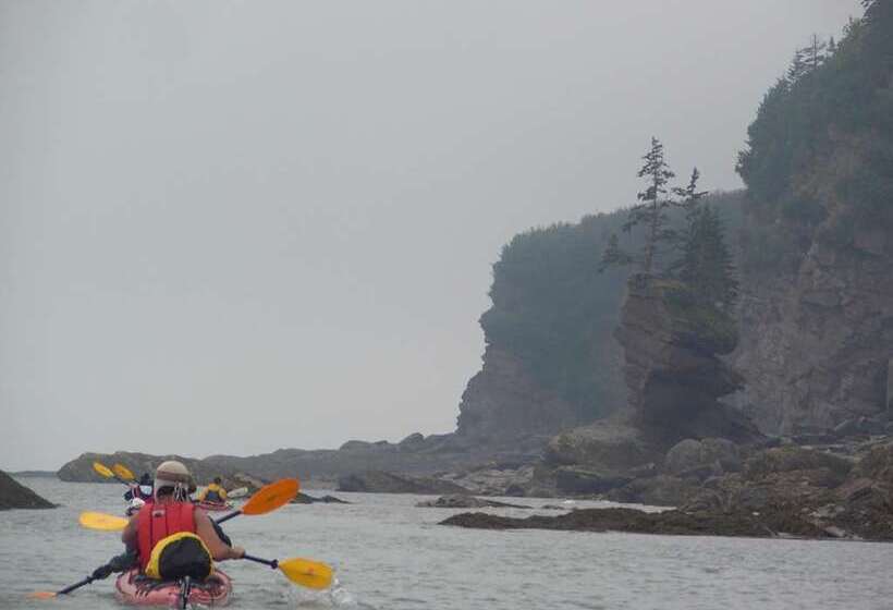 فندق Hilton Saint John