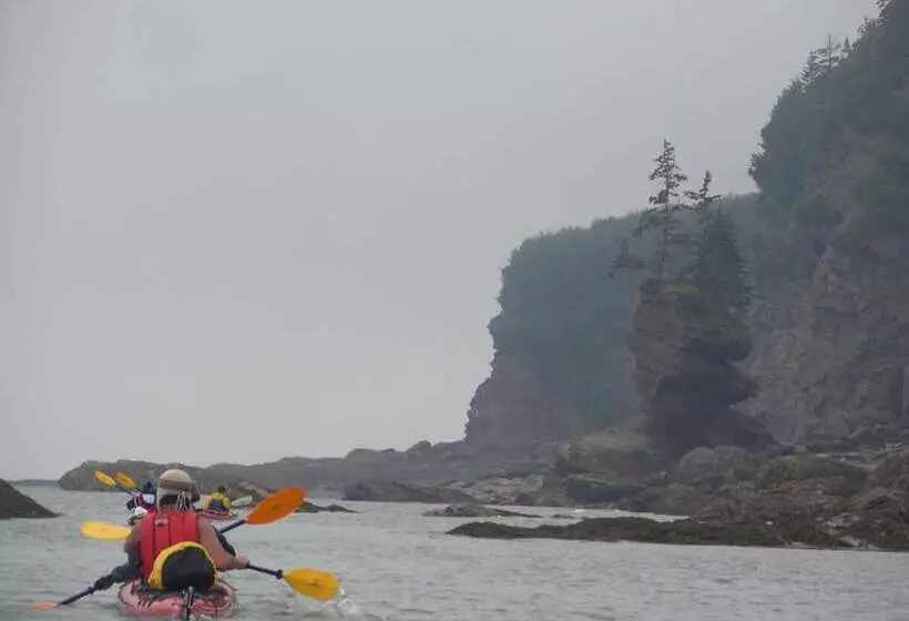 Отель Hilton Saint John