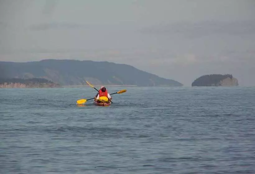 Отель Hilton Saint John