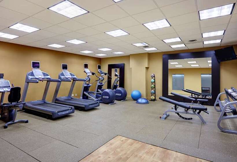 فندق Hilton Saint John