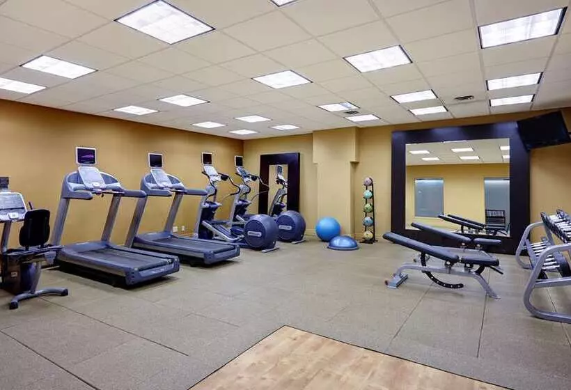 Отель Hilton Saint John