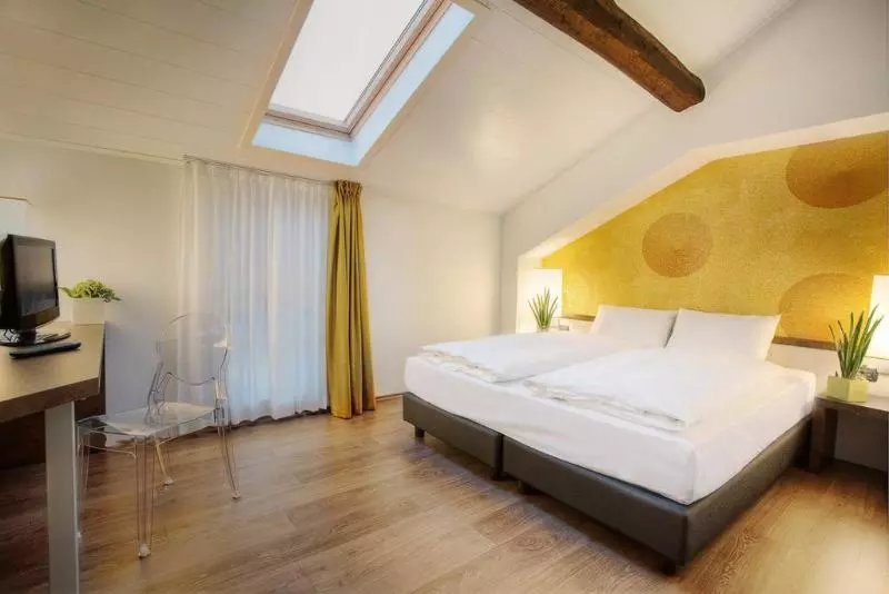 فندق Internazionale Bellinzona