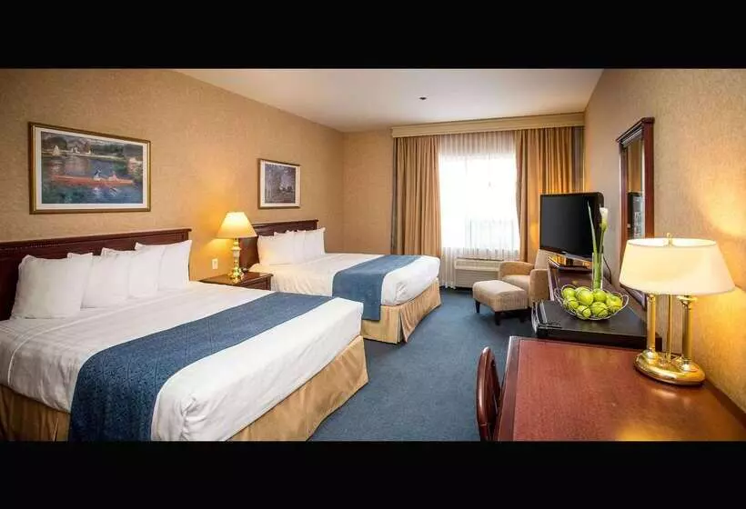 Hotel Quality Inn And Suites Brossard