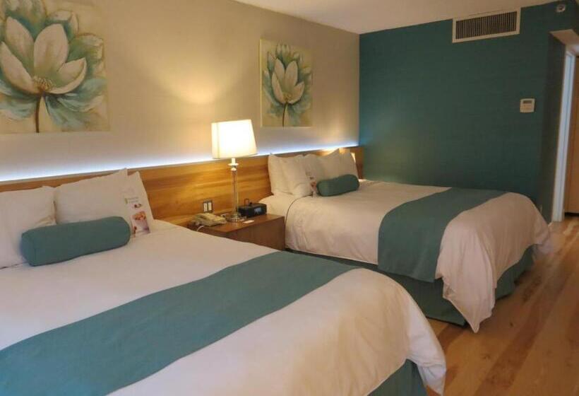 فندق Radisson Blu Toronto Downtown