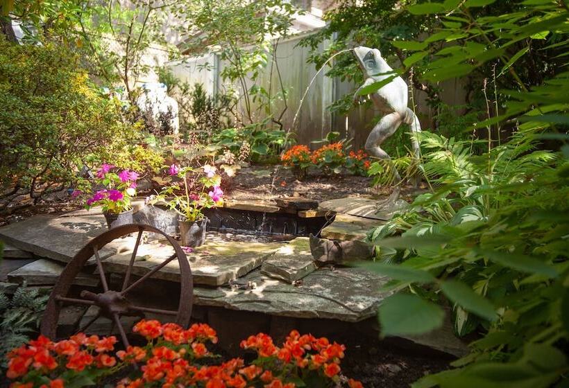 هتل The Halliburton