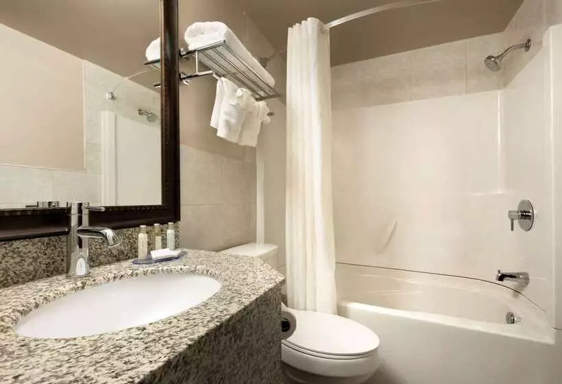 فندق Travelodge By Wyndham Lethbridge