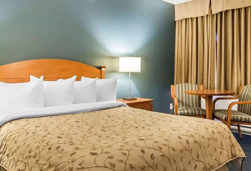 מוטל Quality Inn Rouynnoranda
