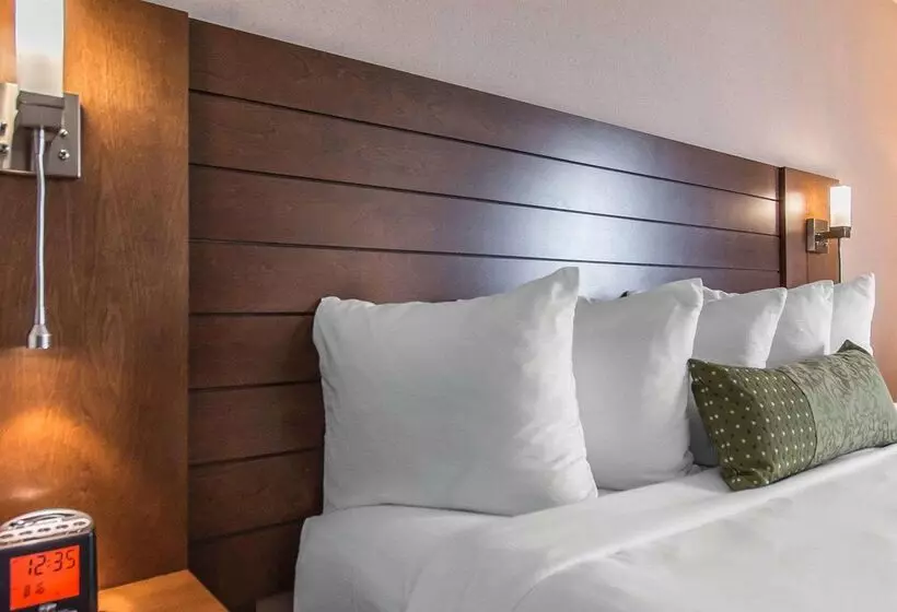 מוטל Quality Inn Rouynnoranda