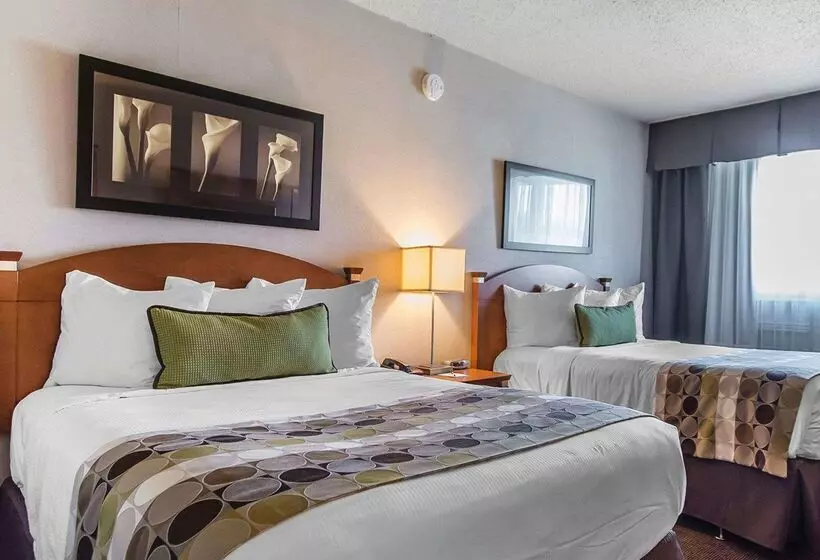 מוטל Quality Inn Rouynnoranda