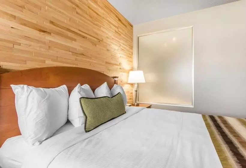 מוטל Quality Inn Rouynnoranda