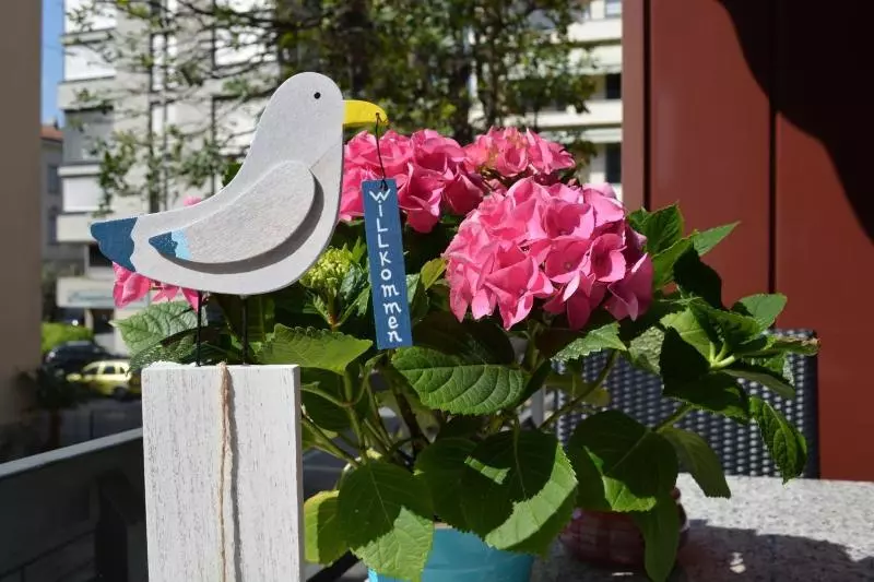 Hôtel Atlantico Self Check In