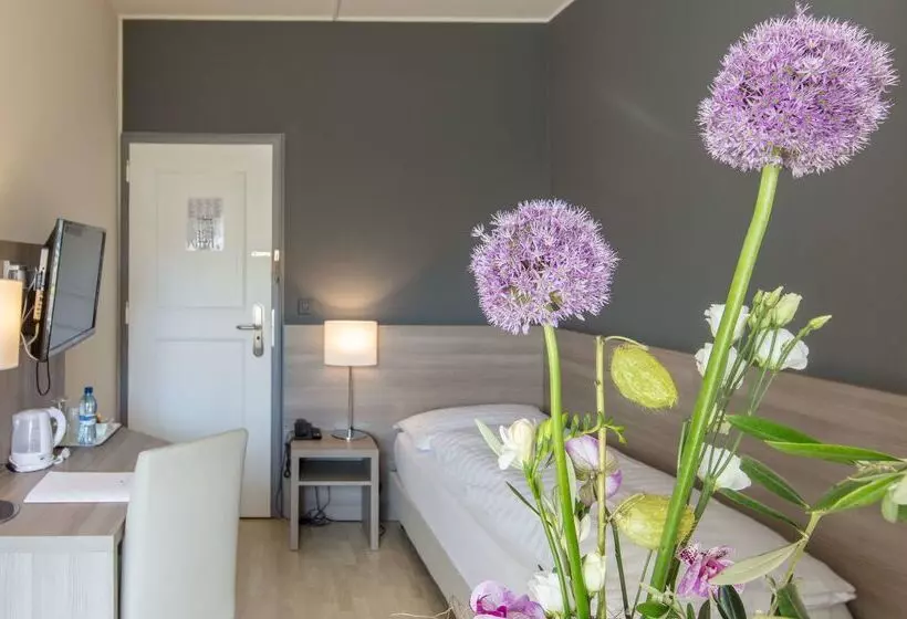 Отель De La Rose