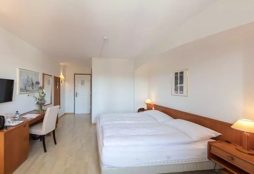 Отель De La Rose