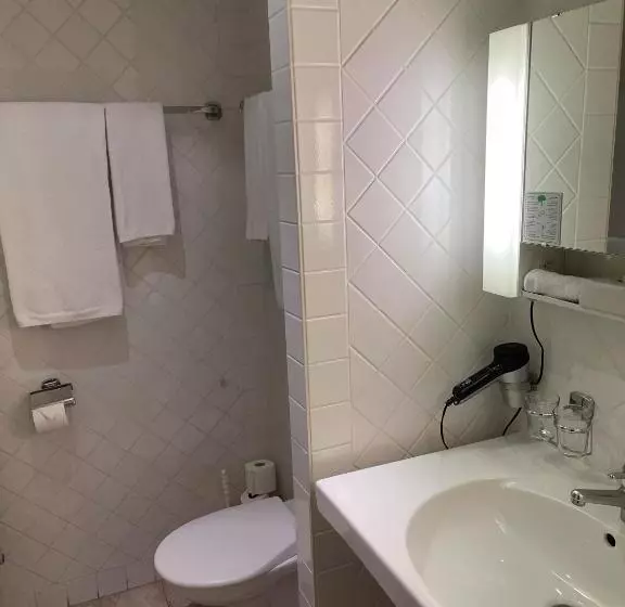 Hotel Hôtel Des Alpes