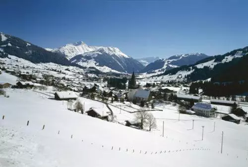 Отель Saanerhof