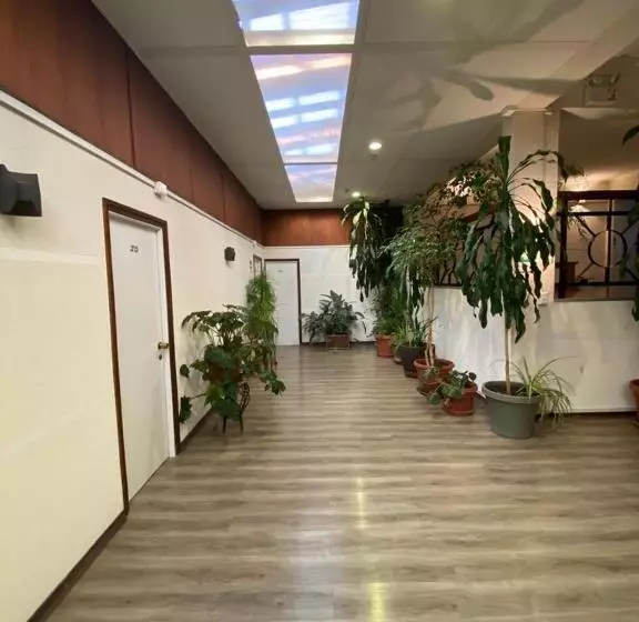 هتل Nicolás Temuco