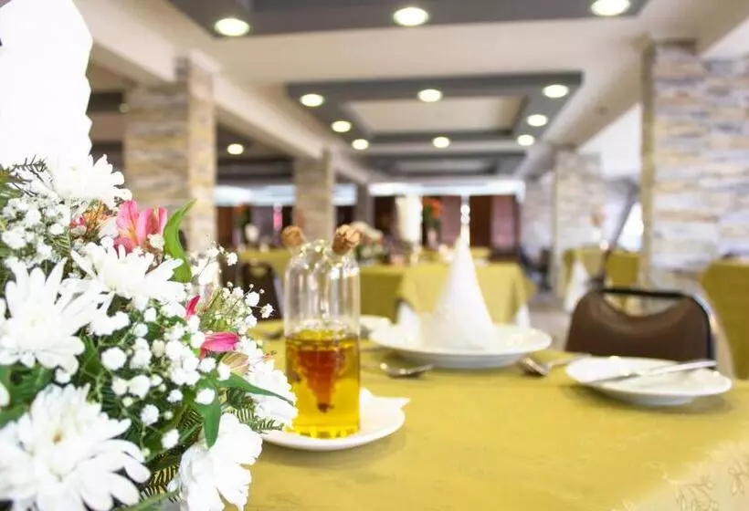 هتل Nicolás Temuco