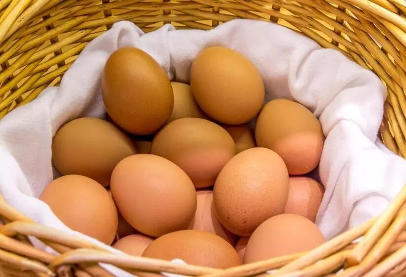 Cvjm Hotel Am Wollmarkt