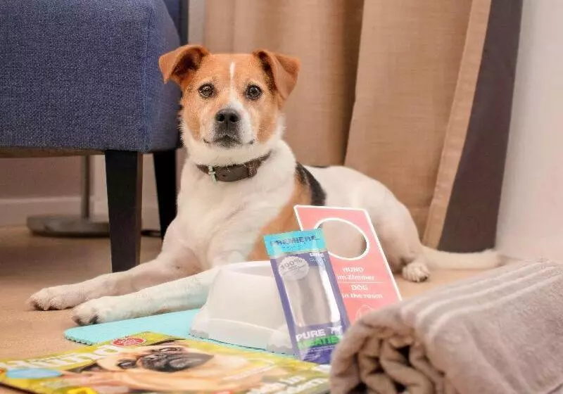 Szálloda Mercure  Aachen Europaplatz