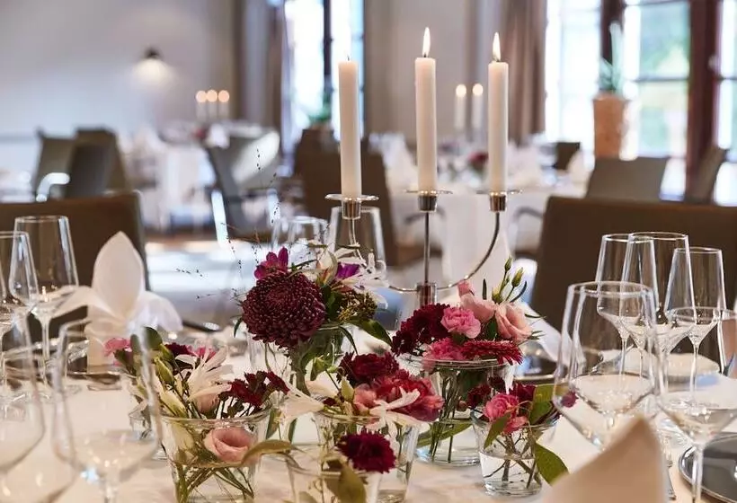 هتل Steigenberger Conti Hansa