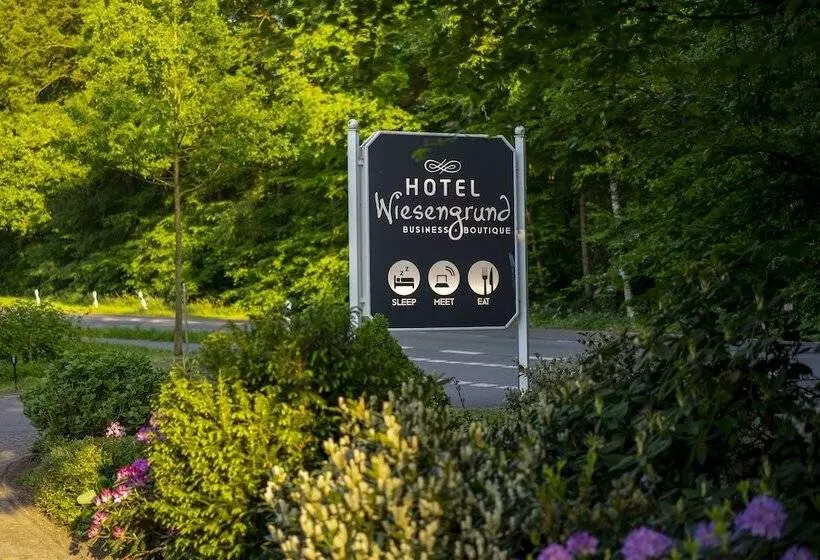 Отель Wiesengrund Business & Boutique