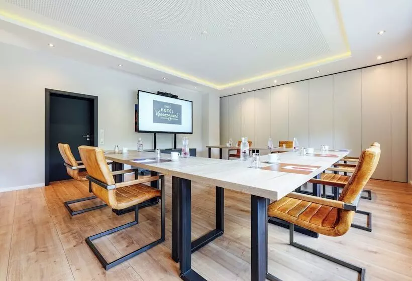 Отель Wiesengrund Business & Boutique