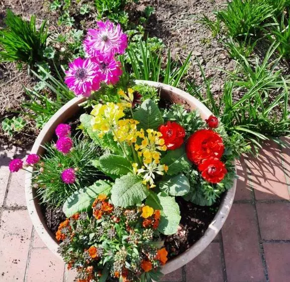 בית מלון כפרי Zur Brücke