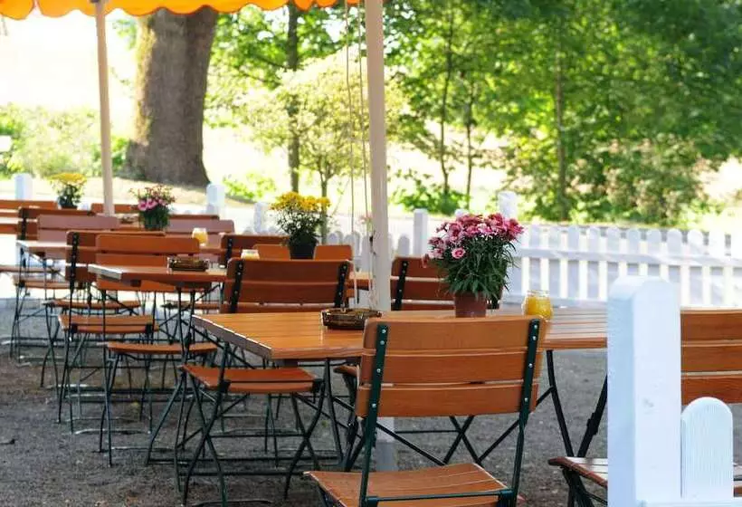 酒店 Zur Burg Sternberg