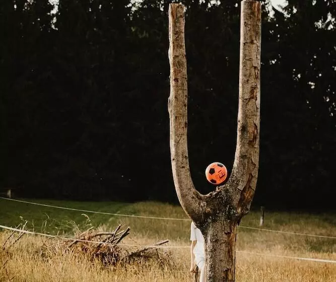 酒店 Zur Burg Sternberg