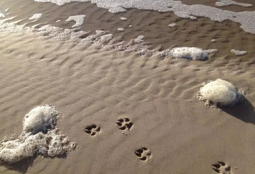 Michels Inselhotel Vier Jahreszeiten