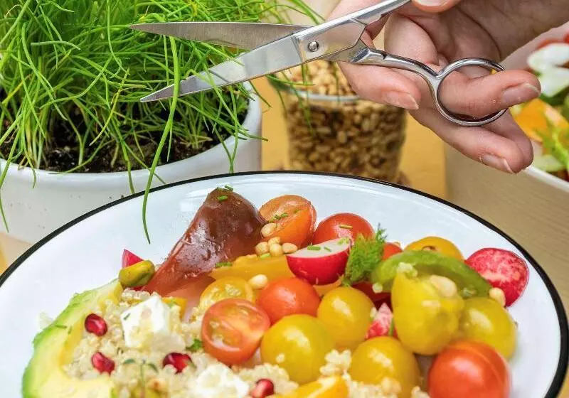 호텔 Ibis Frankfurt Centrum