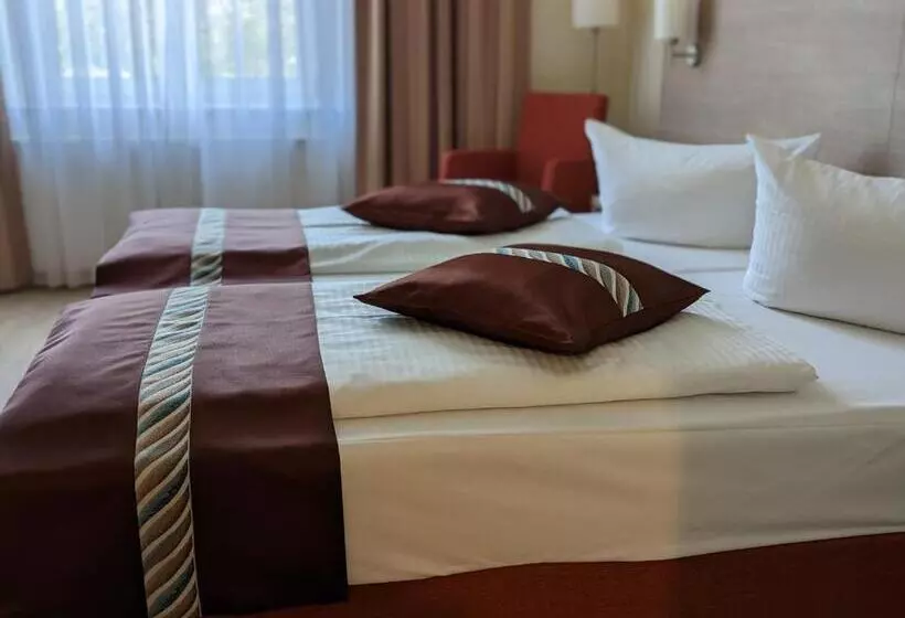 فندق Mainzer Hof