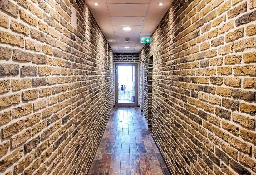 فندق Mainzer Hof