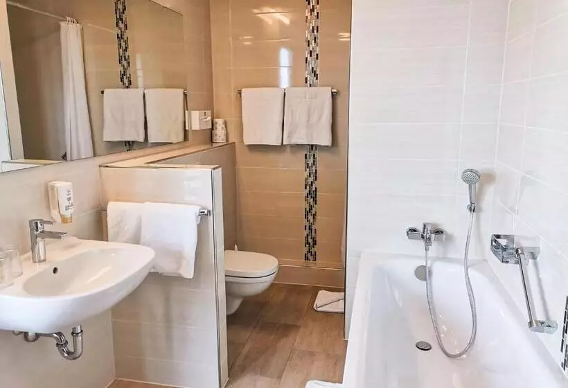 فندق Mainzer Hof