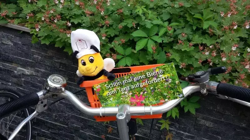 Ringhotel Gasthof Hasen