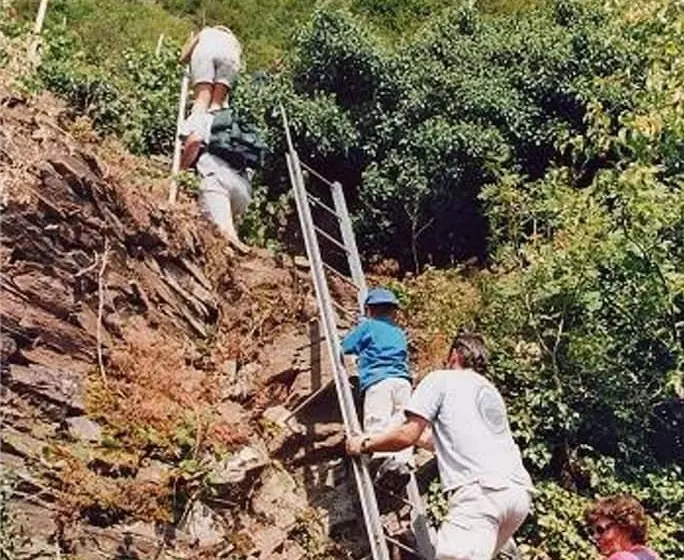 בית מלון כפרי Weinhaus Berg