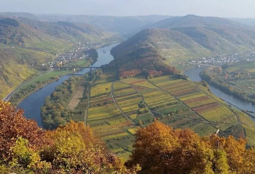 בית מלון כפרי Weinhaus Berg