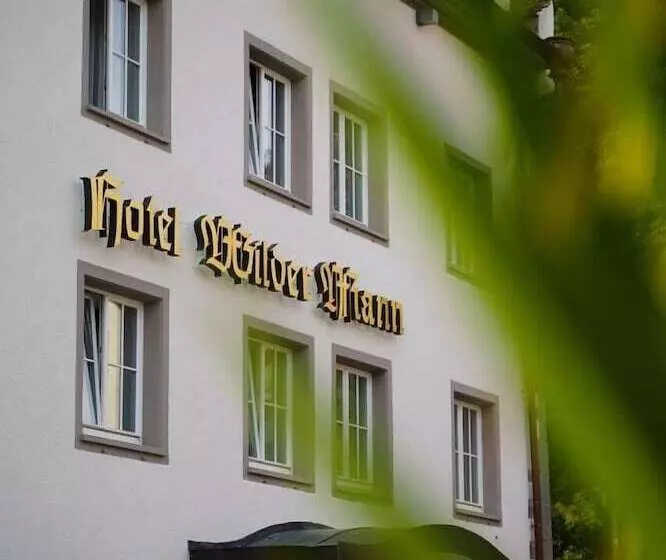 Hotel Wilder Mann