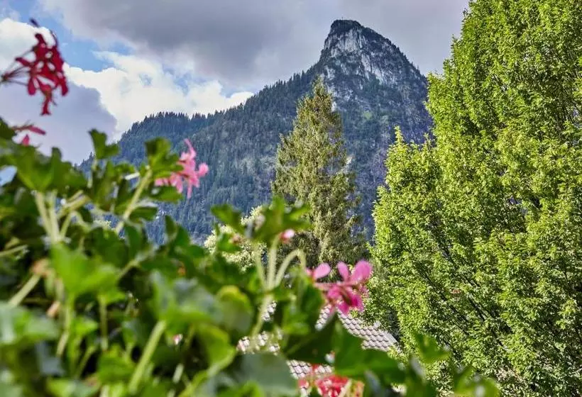 酒店 Zum Turm     Apartments Und Gästezimmer