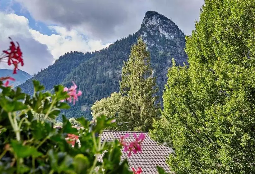 酒店 Zum Turm     Apartments Und Gästezimmer