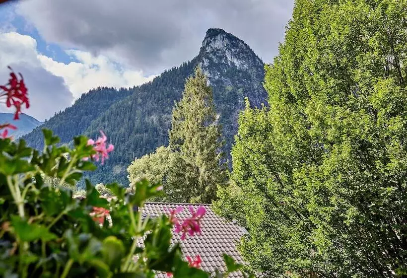 酒店 Zum Turm     Apartments Und Gästezimmer